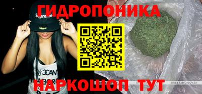 2c-b Славянск-на-Кубани