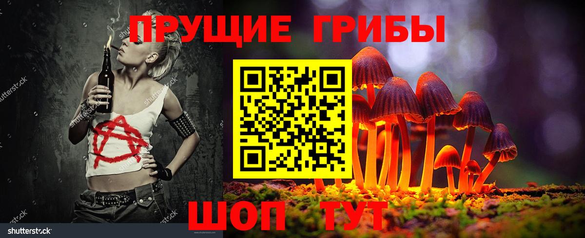 Галлюциногенные грибы Psilocybine cubensis Новороссийск