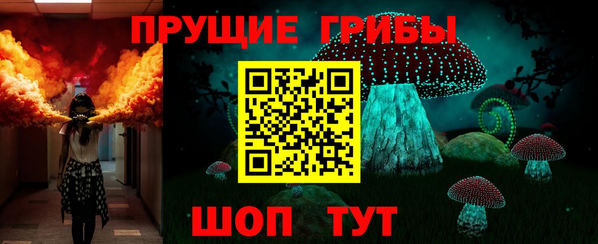 Галлюциногенные грибы Psilocybine cubensis  Вход с VPN  наркота  Новороссийск 